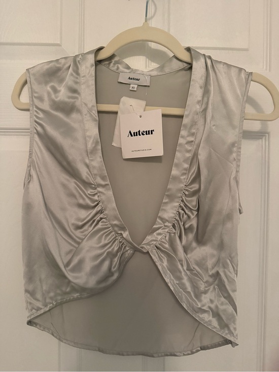 Auteur Studio Tops - Auteur Silver Silk Sleeveless Crop Top Size XS NWT